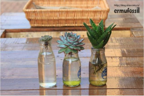 注意事项，避免常见的错误