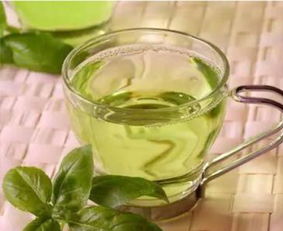 伏茶功效有哪些？这几种效果你知道吗