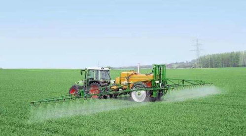 抖音上二姐的经验分享