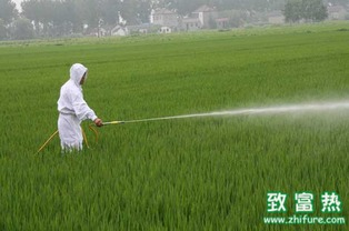 发现喷错农药，该怎么办？