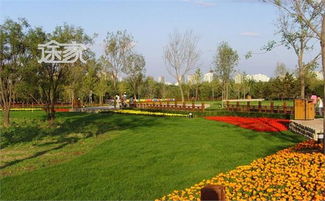 北京奥林匹克森林公园野花混播试验值得借鉴