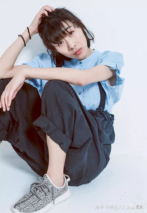 金盏菊与非洲菊的相似之处