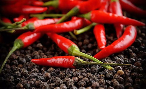 毒死蜱灌根对辣椒生长有啥影响？