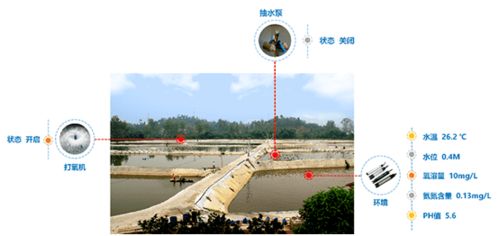 “农业养殖水质智能监测系统”