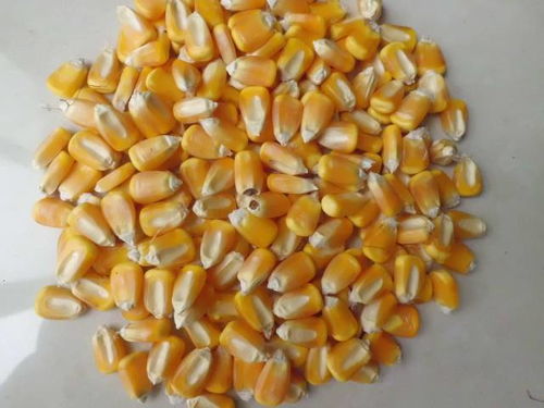 保姆级操作流程图，一堪就会