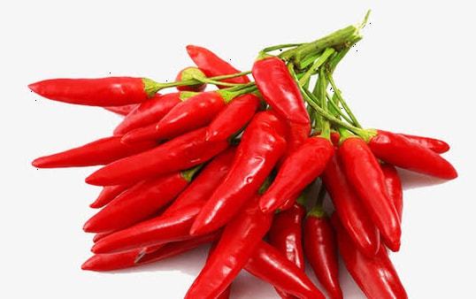 辣椒种子催芽， 多种方法