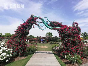 沈阳植物园数据：关注这三种耐阴植物