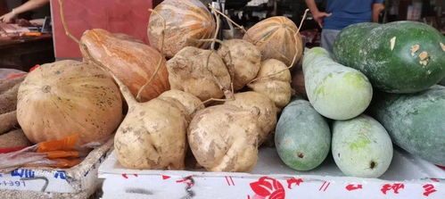 黑龙江牡丹江反季杏鲍菇上市，打破传统种植局限