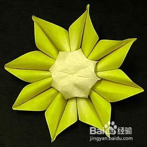 太阳花肥料，自制方法有哪些