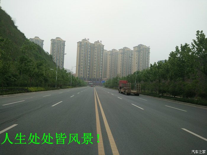 马路边的植物要闯哪些鬼门关？