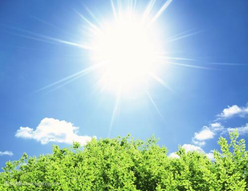 阳光希望，太阳花语，照亮心田