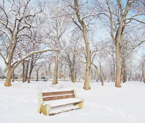 冬天那个冰天雪地的季节
