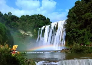 黄果树非树，天然奇观！