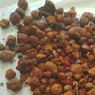 南北差异，要注意