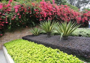 种植深度， 讲究技巧