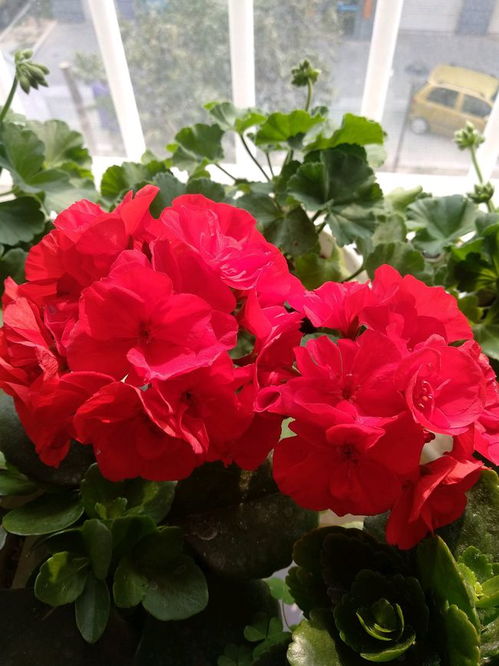 恢复生机，从土壤开始