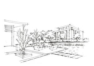 树木：形态与空间的舞蹈