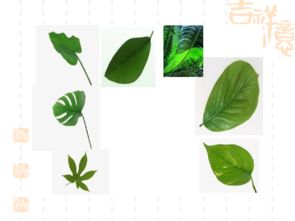 三、 听听专家怎么说