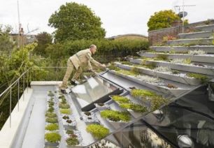 沙石地种植的挑战与机遇