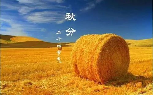 栽植时间，那是一个神秘的选择