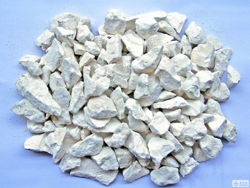 冬天树上涂石灰的秘密