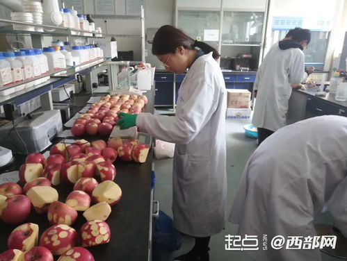 苹果农药残留，怎么办？