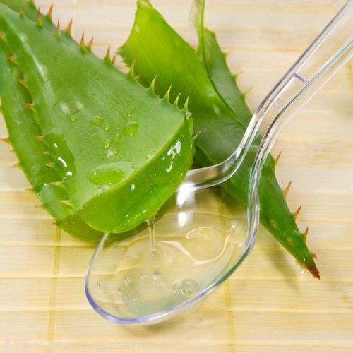 芦荟变红，是吸收了什么神秘元素