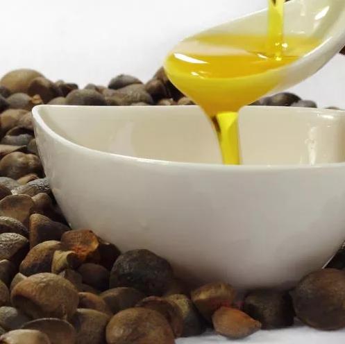 茶油价格揭秘：一斤茶籽榨得多少？茶叶市场行情速递