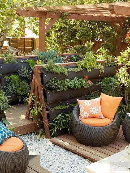 抗冻草本植物，让庭院全年绿意盎然