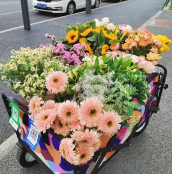 在街头摆摊，卖什么花卉Zui火？