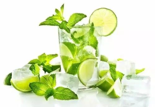薄荷荷花养在家里有哪些优点和缺点？