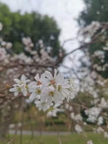 养护三大禁忌：避免错误操作