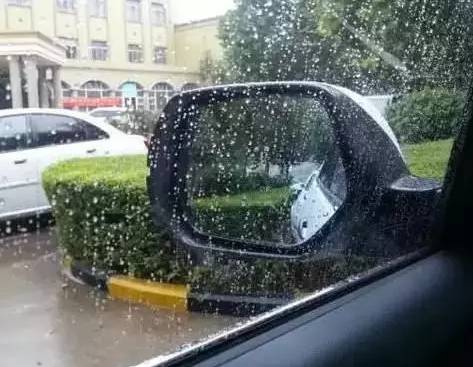 下雨天打农药：大棚里外dou不行