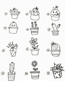 第三步：画个花盆