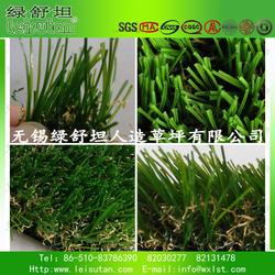 学校草坪， 多种草种