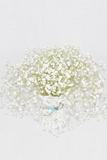 时间对比实验：风干与保存， 效果一目了然