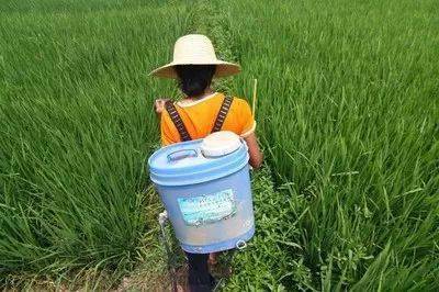 农药混用那些事儿