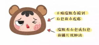 生吃莲花白有哪些益处？看完这篇你就知道了