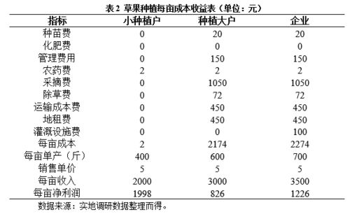 草果市场价格波动大，产地分布广泛