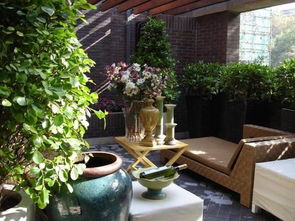 皇家御用品种， 宫廷花园里的明星