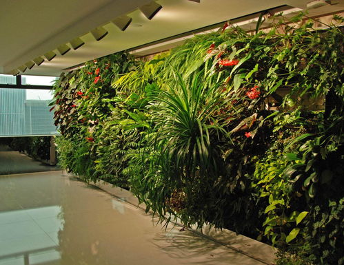 4. 对生态植物墙药剂的使用