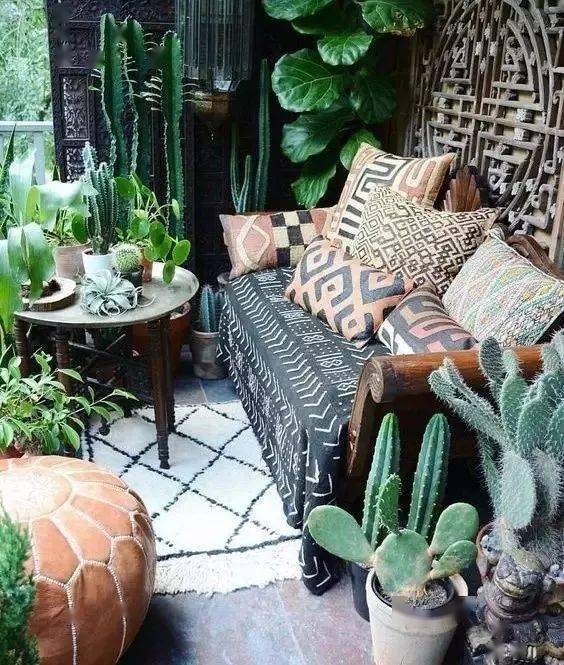 攀爬植物墙藤条类， 给庭院和阳台增添绿意