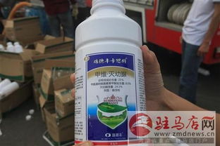 黄杨树叶子上的蚂蚁用什么杀虫剂最有效？有没有什么方法可以彻底清除黄杨树上的蚂蚁？