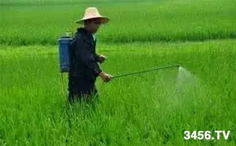除草剂与杀虫剂混配使用， 需避开雷区