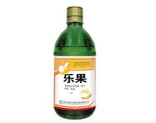 02 溶解度与环境的小秘密