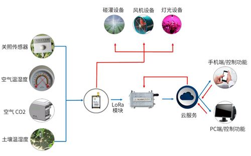 通过控制光照、温度、水分等生长环境