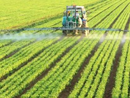 大为农科简介中，引领现代农业的饲料品牌，如何塑造优质饲料新标杆？