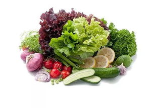 适合老年人种植的蔬菜