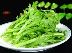 香菜和茼蒿，香辛味驱虫剂