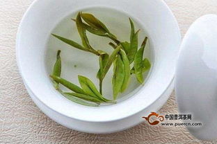 安吉白茶，女人饮用有益健康